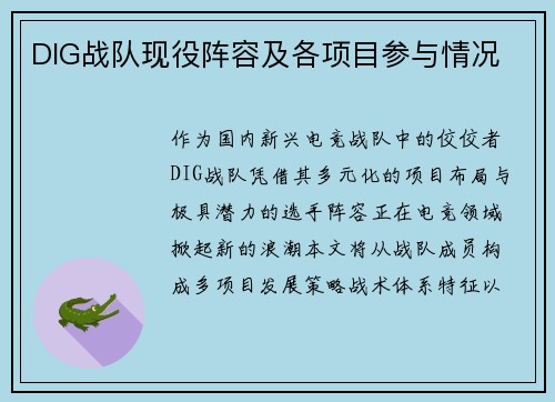 DIG战队现役阵容及各项目参与情况