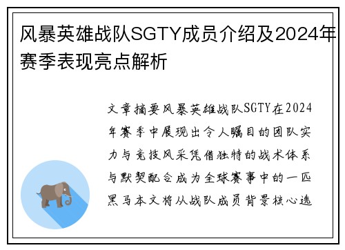 风暴英雄战队SGTY成员介绍及2024年赛季表现亮点解析